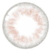 Lenstown 1-Day 247 With MeGray (10 Pack)